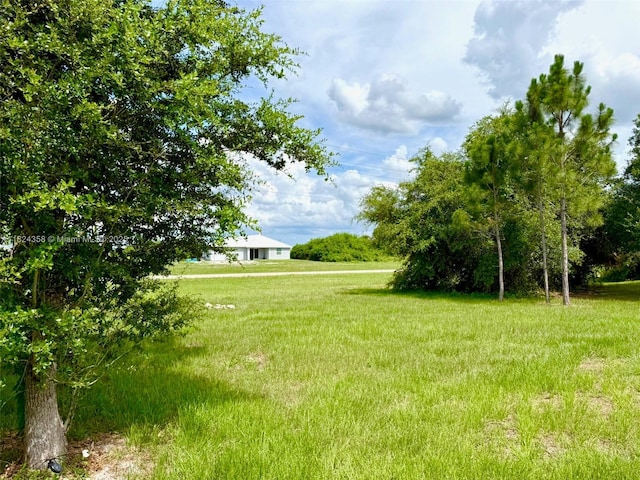 5029 N Dogwood Cir, La Belle, FL 33935 - view of yard