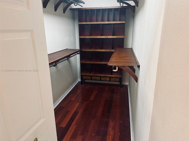 3125 Stonewater Dr Lakeland Fl, Lakeland Fl, FL 33803 - walk in closet with wood finished floors