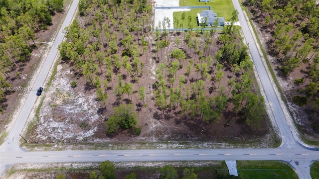 1004 E 14th St, Lehigh Acres, FL 33972