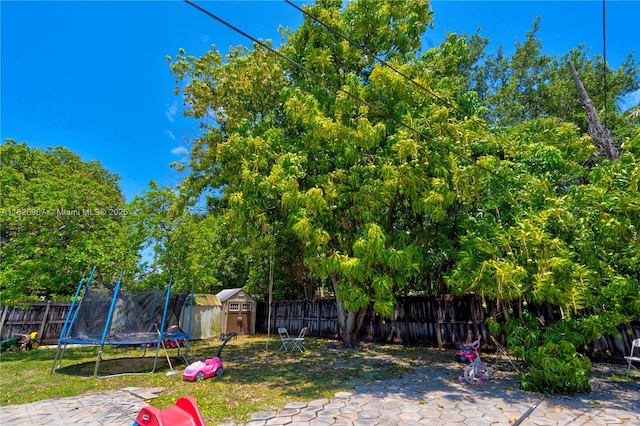 13645 NW 3rd Ave, North Miami, FL 33168 - fenced backyard with a storage unit and a trampoline