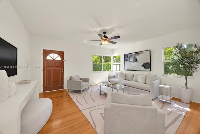 900 Milan Ave, Coral Gables, FL 33134 - photo 5