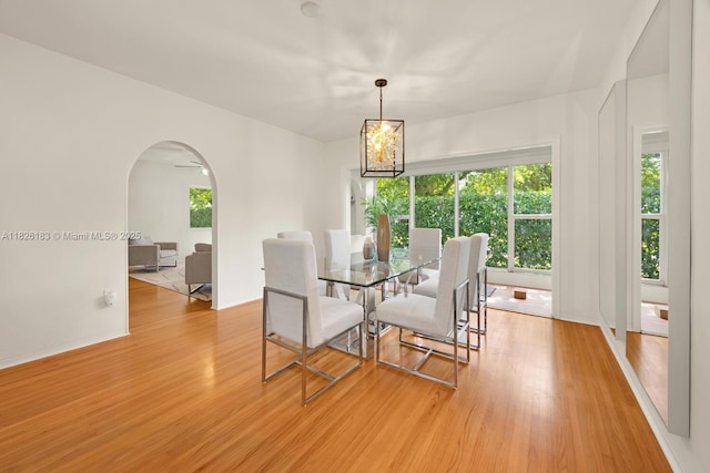 900 Milan Ave, Coral Gables, FL 33134 - photo 7