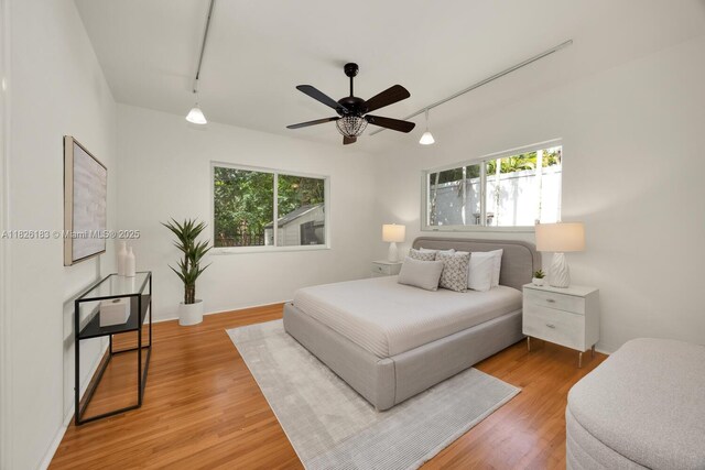 900 Milan Ave, Coral Gables, FL 33134 - photo 17