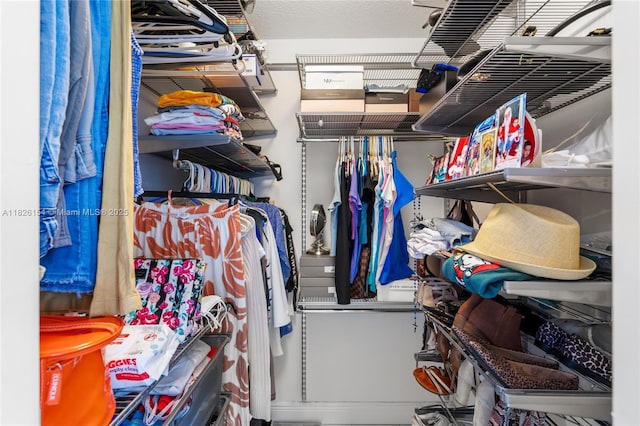 14288 SW 21st Ter, Miami, FL 33175 - view of walk in closet