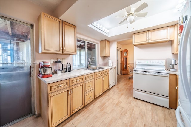 5103 NW 54th Ct, Tamarac, FL 33319 - kitchen with white appliances, a ceiling fan, light countertops, light wood finished floors, and light brown cabinetry