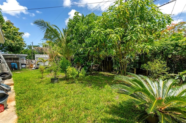 1616 SW 9th St, Fort Lauderdale, FL 33312 - view of yard