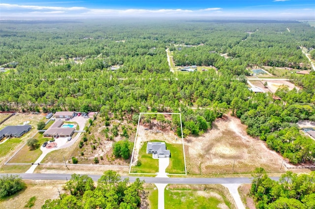13822 SW 61st Pl, Ocala, FL 34481 - photo 27