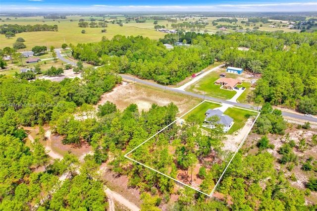 13822 SW 61st Pl, Ocala, FL 34481 - photo 28