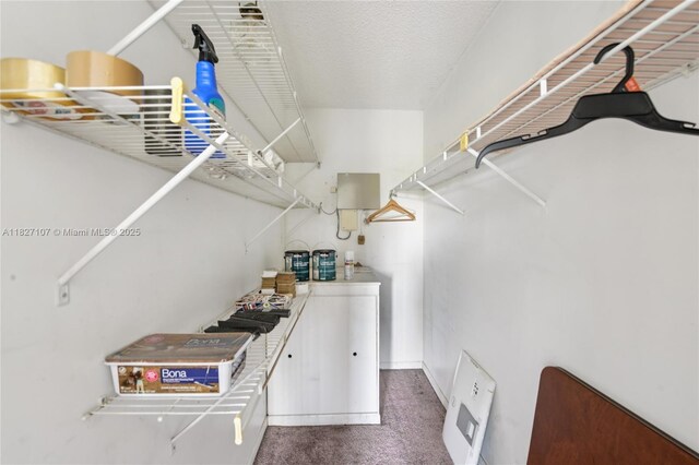 13450 SW 3rd St Unit 408D, Pembroke Pines, FL 33027 - spacious closet with carpet flooring