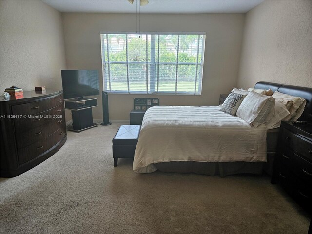 21300 Waycross Dr, Boca Raton, FL 33428 - carpeted bedroom featuring multiple windows and a textured wall