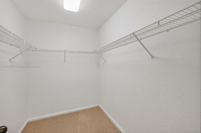 1860 SW 53rd Ave, Plantation, FL 33317 - photo 35