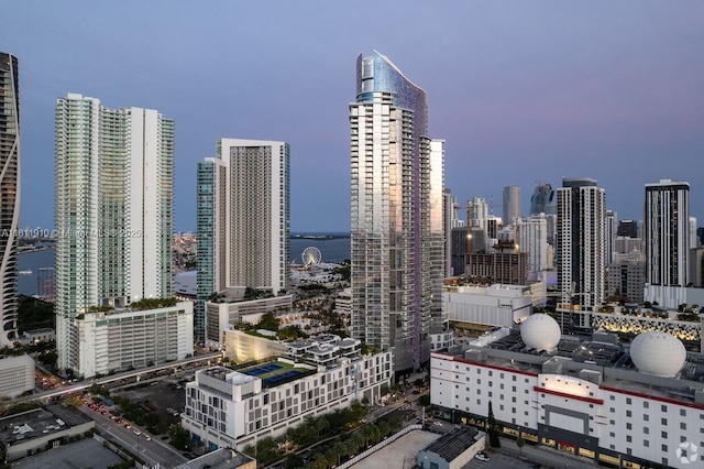 851 NE 1st Ave Unit 3308, Miami, FL 33132 - skyline view with a nearby body of water