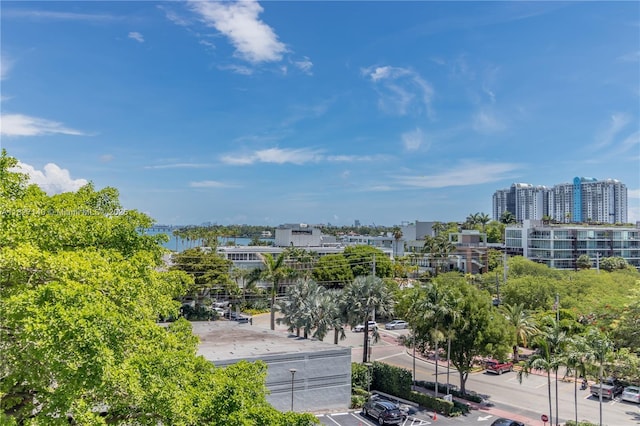 5 Island Ave Unit 6A, Miami Beach, FL 33139 - water view