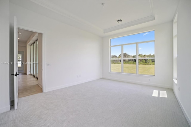 20161 SE Bridgewater Dr, Jupiter, FL 33458 - empty room featuring carpet flooring and a raised ceiling