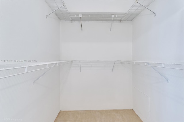 9455 Collins Ave Unit 301, Surfside, FL 33154 - spacious closet with light colored carpet