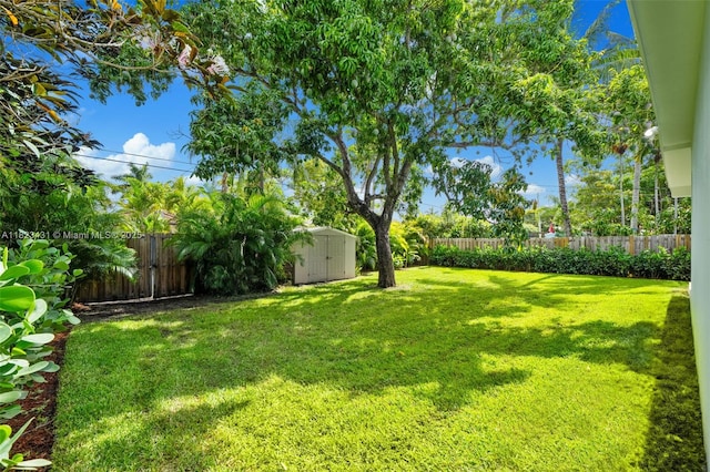 1617 Washington St, Hollywood, FL 33020 - photo 39