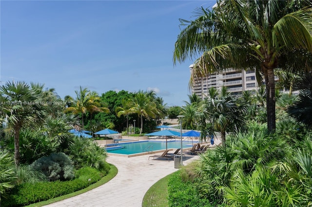 3 Grove Isle Dr Unit C1405, Miami, FL 33133 - community pool featuring a patio