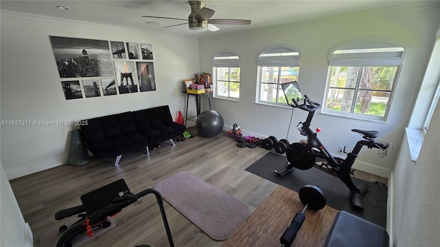 1425 Crossbill Ct, Weston, FL 33327 - exercise room featuring a ceiling fan and wood finished floors