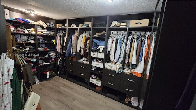 1425 Crossbill Ct, Weston, FL 33327 - walk in closet featuring wood finished floors