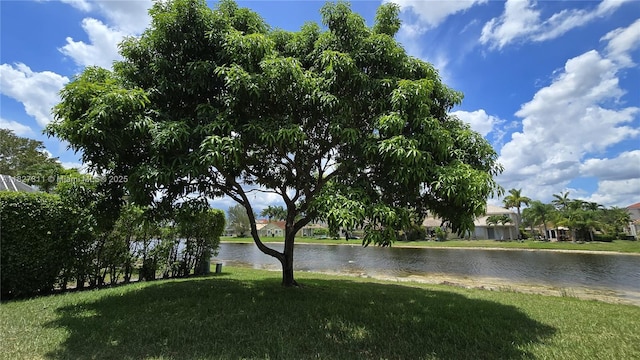 1425 Crossbill Ct, Weston, FL 33327 - water view