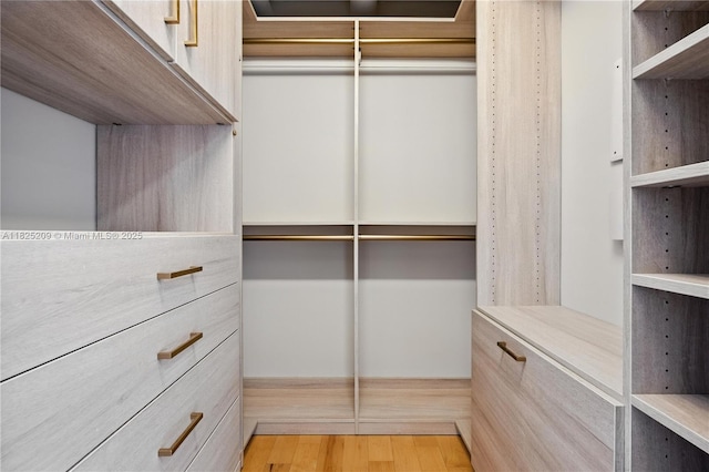 50 Biscayne Blvd Unit 3002, Miami, FL 33132 - spacious closet with light wood-style flooring