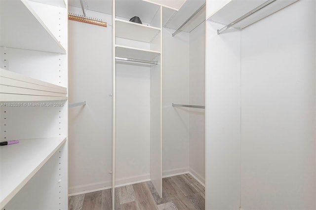 315 W Cypress Cove Cir, Davie, FL 33325 - walk in closet featuring light wood-style floors
