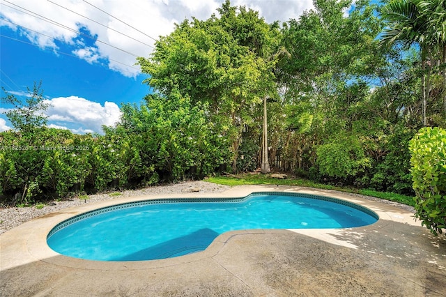315 W Cypress Cove Cir, Davie, FL 33325 - swimming pool featuring a patio