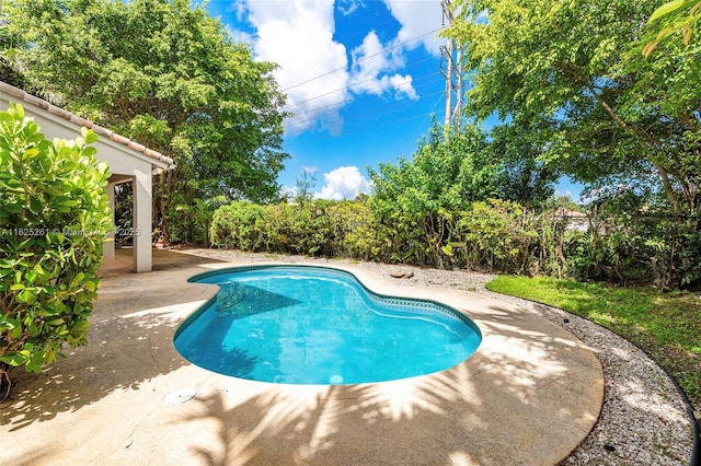 315 W Cypress Cove Cir, Davie, FL 33325 - outdoor pool featuring a patio