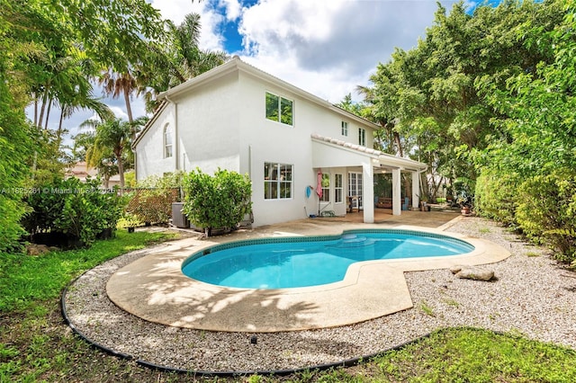 315 W Cypress Cove Cir, Davie, FL 33325 - swimming pool featuring a patio