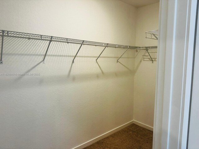 748 SE 17th St, Homestead, FL 33034 - photo 19