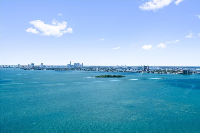 3131 NE 7th Ave Unit 2705, Miami, FL 33137 - water view featuring nearby urban area
