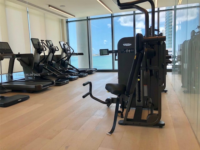 3131 NE 7th Ave Unit 2705, Miami, FL 33137 - gym featuring plenty of natural light, a wall of windows, and wood finished floors