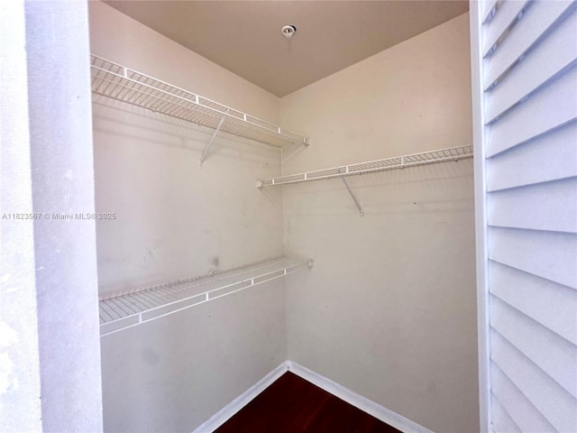 11185 SW 6th St Unit 303, Pembroke Pines, FL 33025 - walk in closet featuring dark wood-style floors