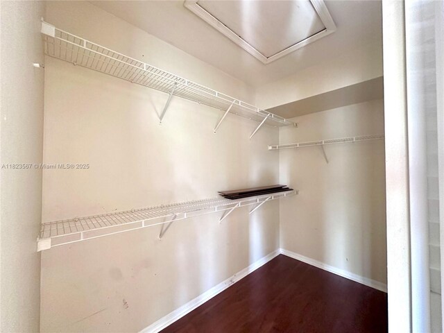 11185 SW 6th St Unit 303, Pembroke Pines, FL 33025 - spacious closet featuring dark wood finished floors