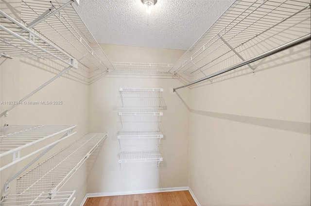 16851 NE 23rd Ave Unit A619, North Miami Beach, FL 33160 - spacious closet with wood finished floors