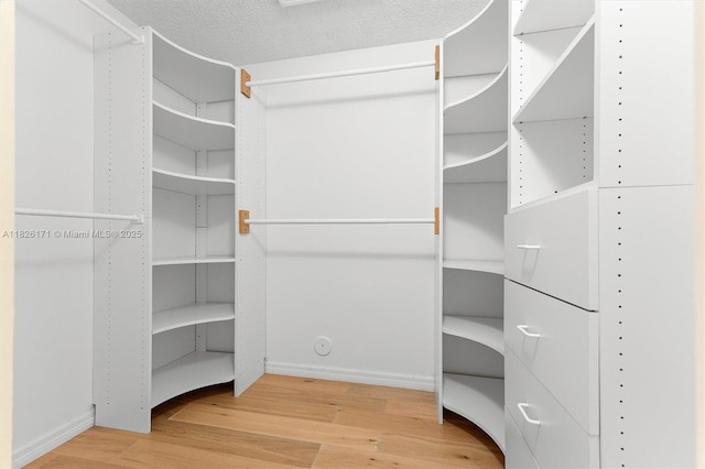 1784 SW 110th Ter, Davie, FL 33324 - spacious closet with wood finished floors