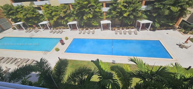 2775 NE 187th St Unit 424, Aventura, FL 33180 - community pool with a patio area