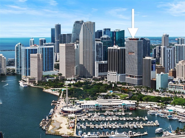 50 Biscayne Blvd Unit 3605, Miami, FL 33132 - skyline view with a large body of water and numerous boat docks