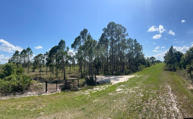 16322 NW 294th St, Okeechobee, FL 34972 - photo 3