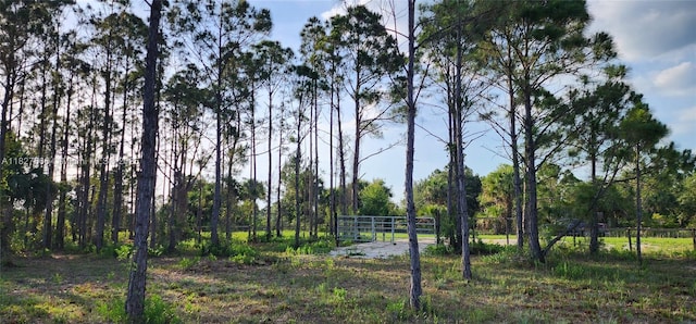 16322 NW 294th St, Okeechobee, FL 34972 - photo 8