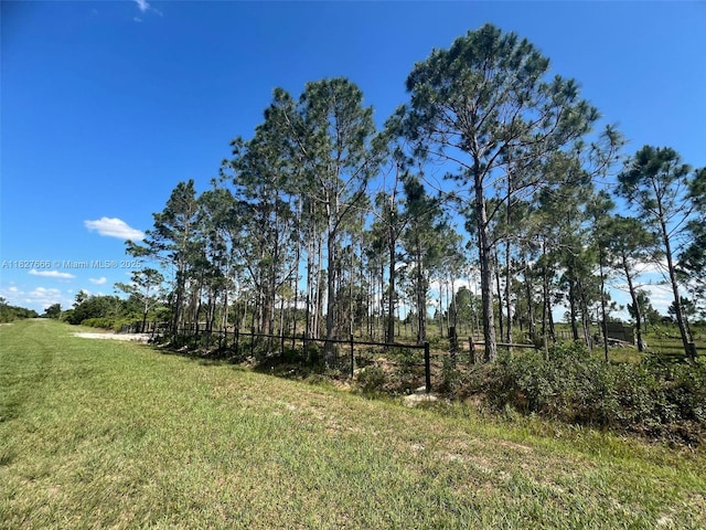 16322 NW 294th St, Okeechobee, FL 34972 - photo 11