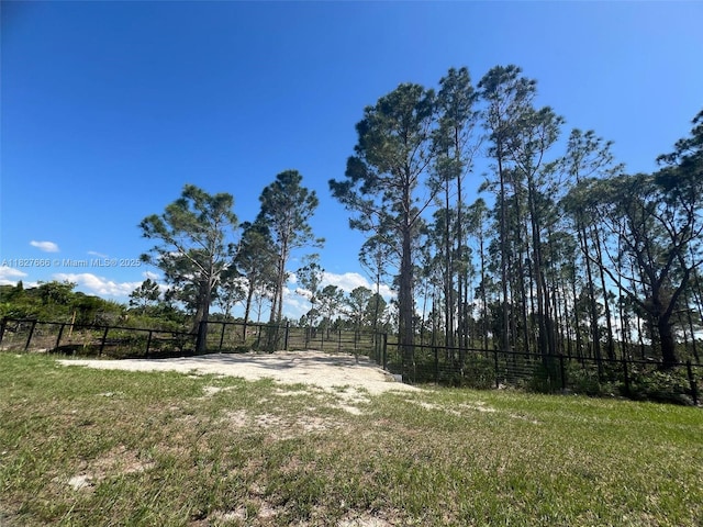 16322 NW 294th St, Okeechobee, FL 34972 - photo 13