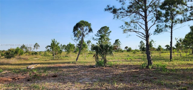 16322 NW 294th St, Okeechobee, FL 34972 - photo 19