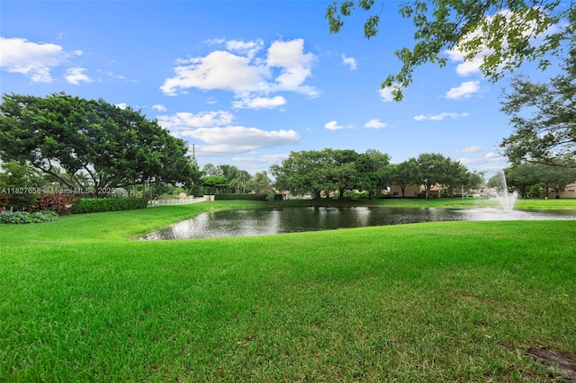 11175 SW 17th Mnr, Davie, FL 33324 - photo 35