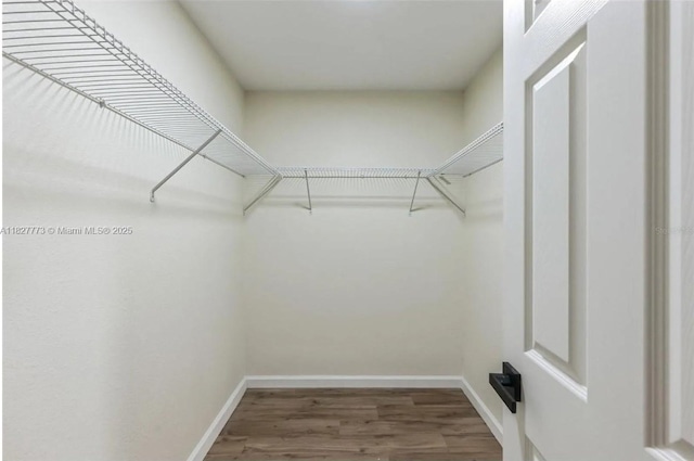 6065Waycross Drive, Spring Hill, FL 34606 - walk in closet featuring wood finished floors