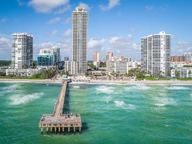 251 174th St Unit 115, Sunny Isles Beach, FL 33160 - water view featuring local beach and city skyline