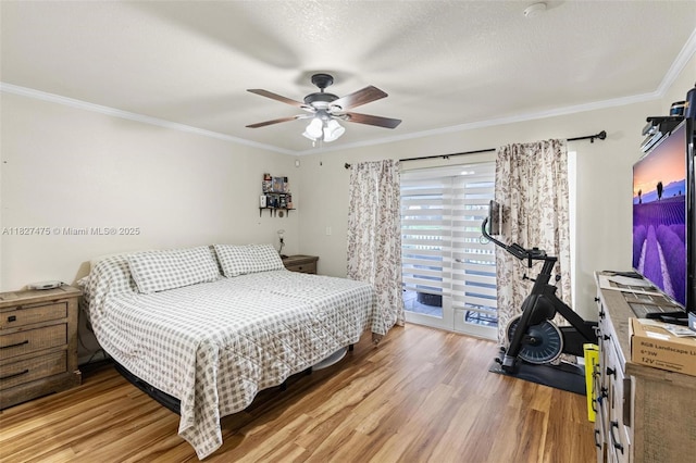 1360 S Audubon Dr, Homestead, FL 33035 - bedroom with light wood-style flooring, ornamental molding, ceiling fan, and access to exterior