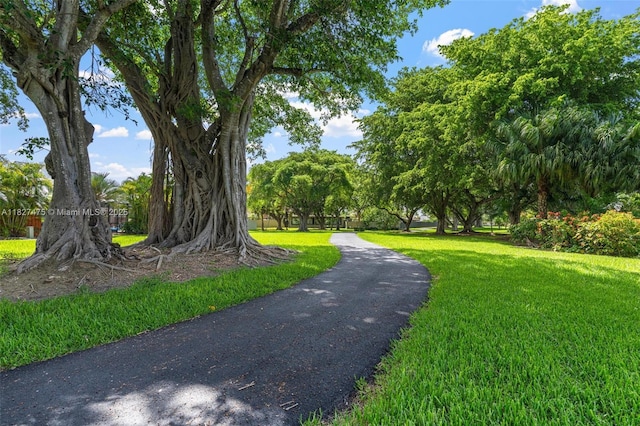 1360 S Audubon Dr, Homestead, FL 33035 - view of home's community featuring a lawn