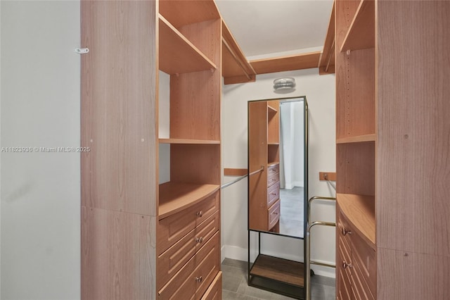 455 NE 25th St Unit 609, Miami, FL 33137 - view of spacious closet