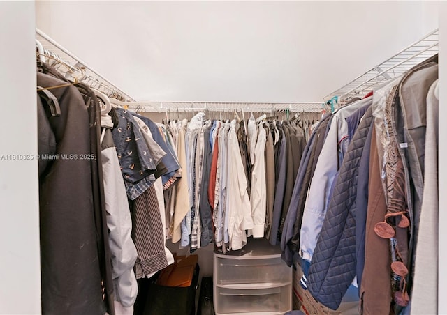 6421 Lake Tern Ln, Coconut Creek, FL 33073 - view of walk in closet